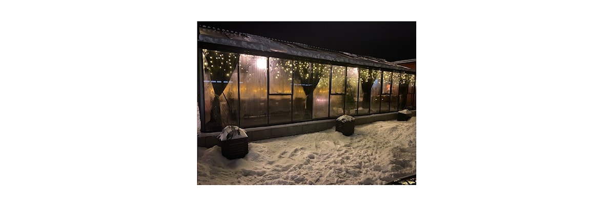 Landsstevne Sprang Julestevne